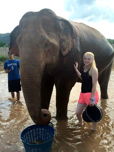 Photo of Kyndale Chamberlain elephant at Loop Abroad, Thailand