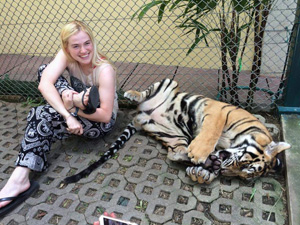 Photo of Kyndale Chamberlain with tiger